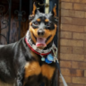 Meet your Posher, Familia